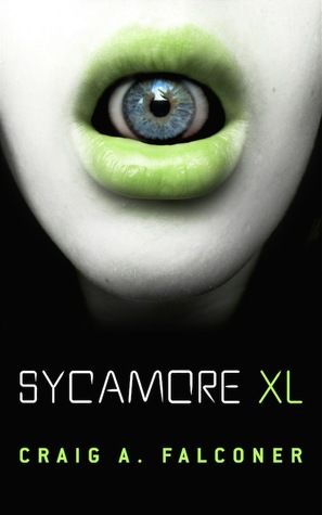 Sycamore XL