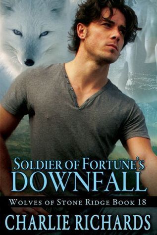 Soldier of Fortune's Downfall