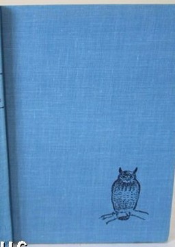 Bubo, the Great Horned Owl