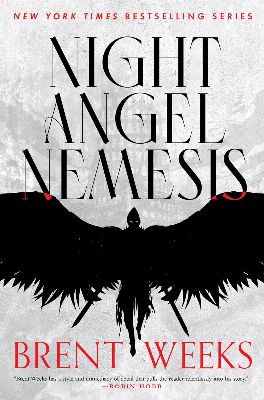 Night Angel Nemesis