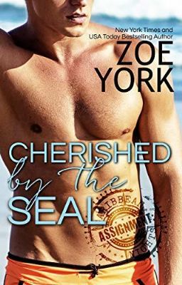 Cherished by the SEAL
